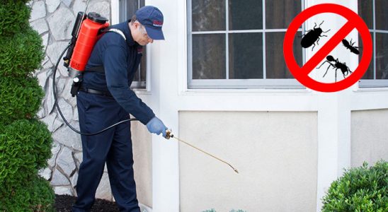 Atakum Kemirgen İlaçlama böcek ilaçlama ve haşere kontrolü — ilaclama-tr.com